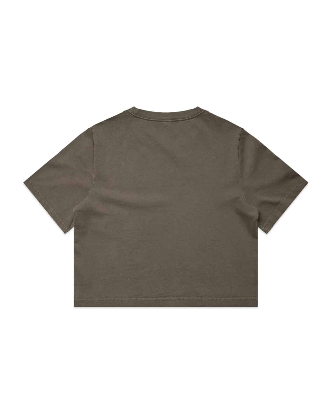 AS Colour 4089 T-Shirt Faded Brown – Rückseite