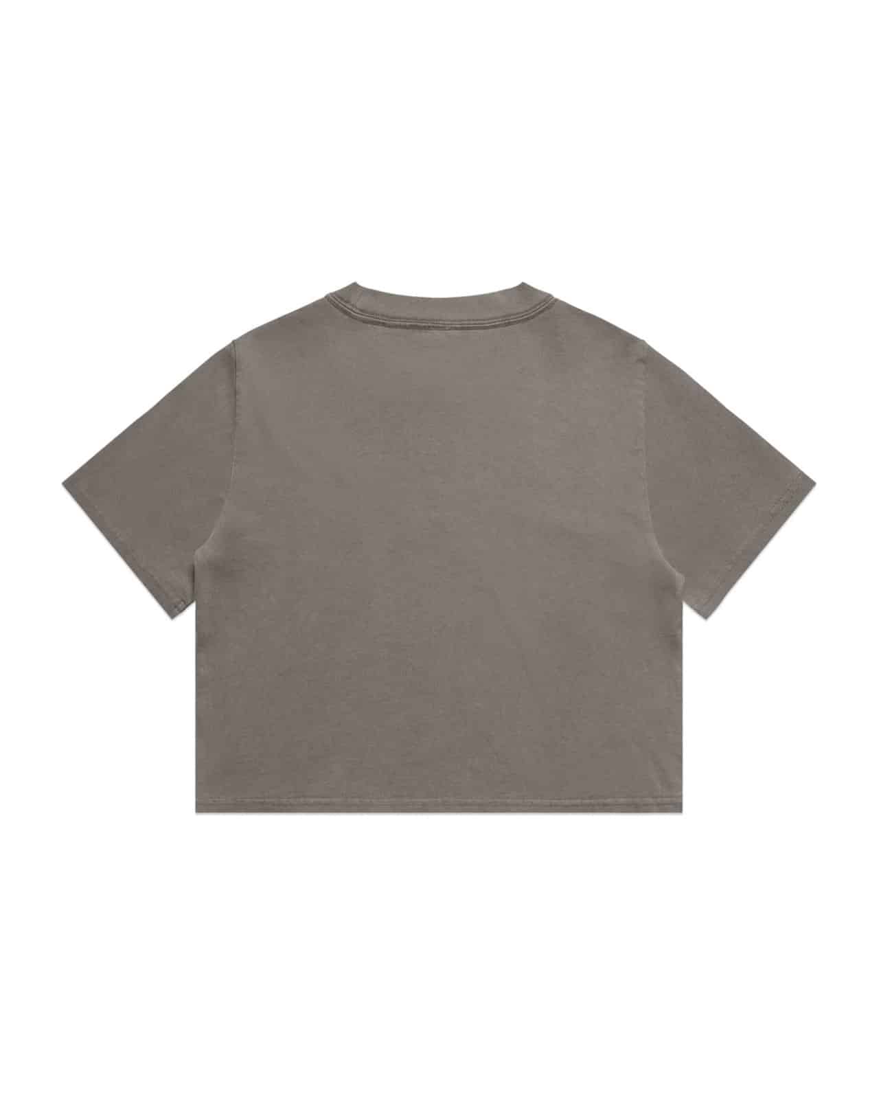 AS Colour 4089 T-Shirt Faded Grey – Rückseite
