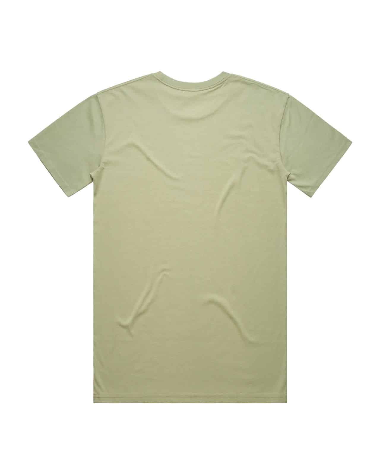 AS Colour 5001 T-Shirt Pistachio – Rückseite