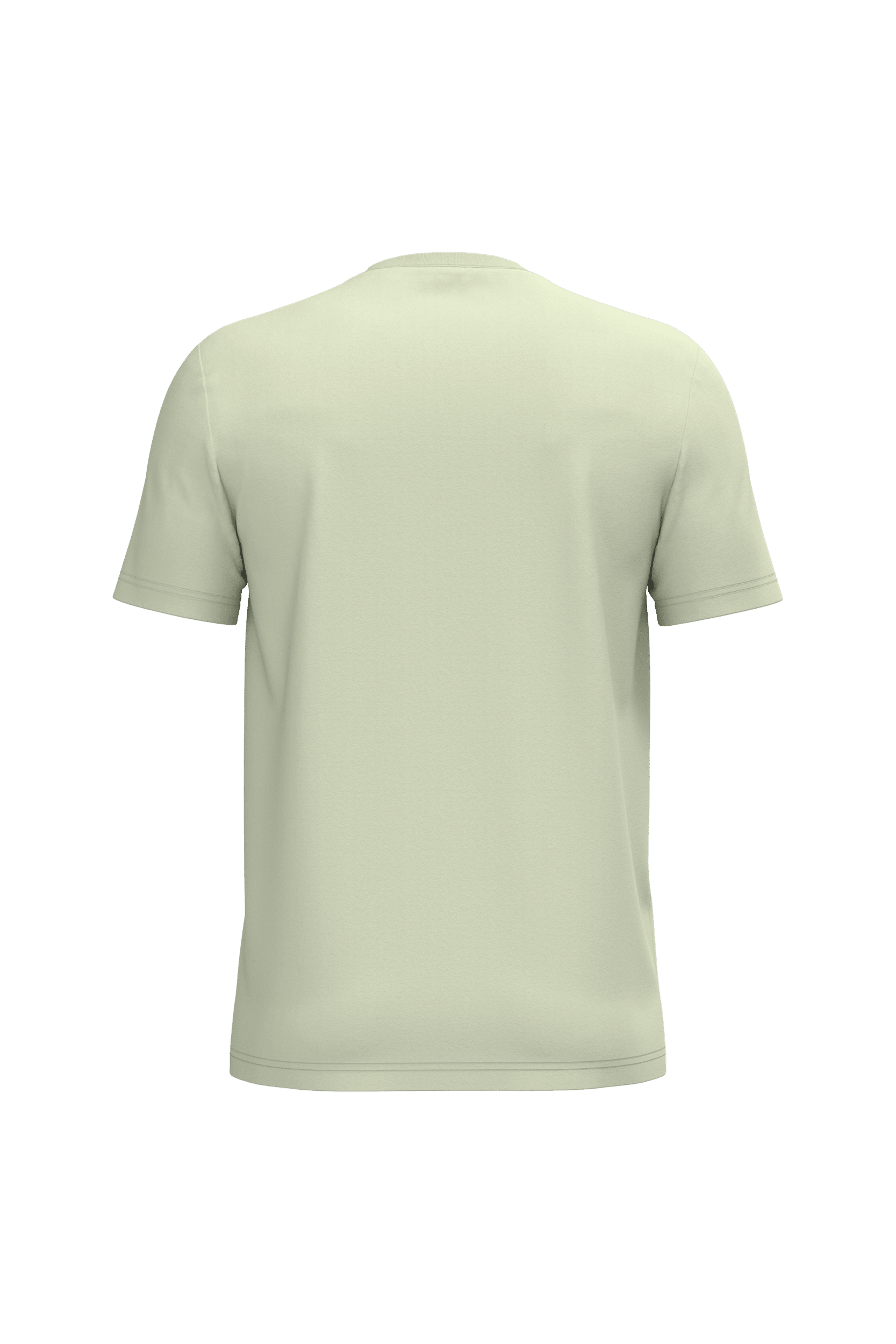 Native Spirit NS300 Bio-T-Shirt Celadon Green – Rückseite