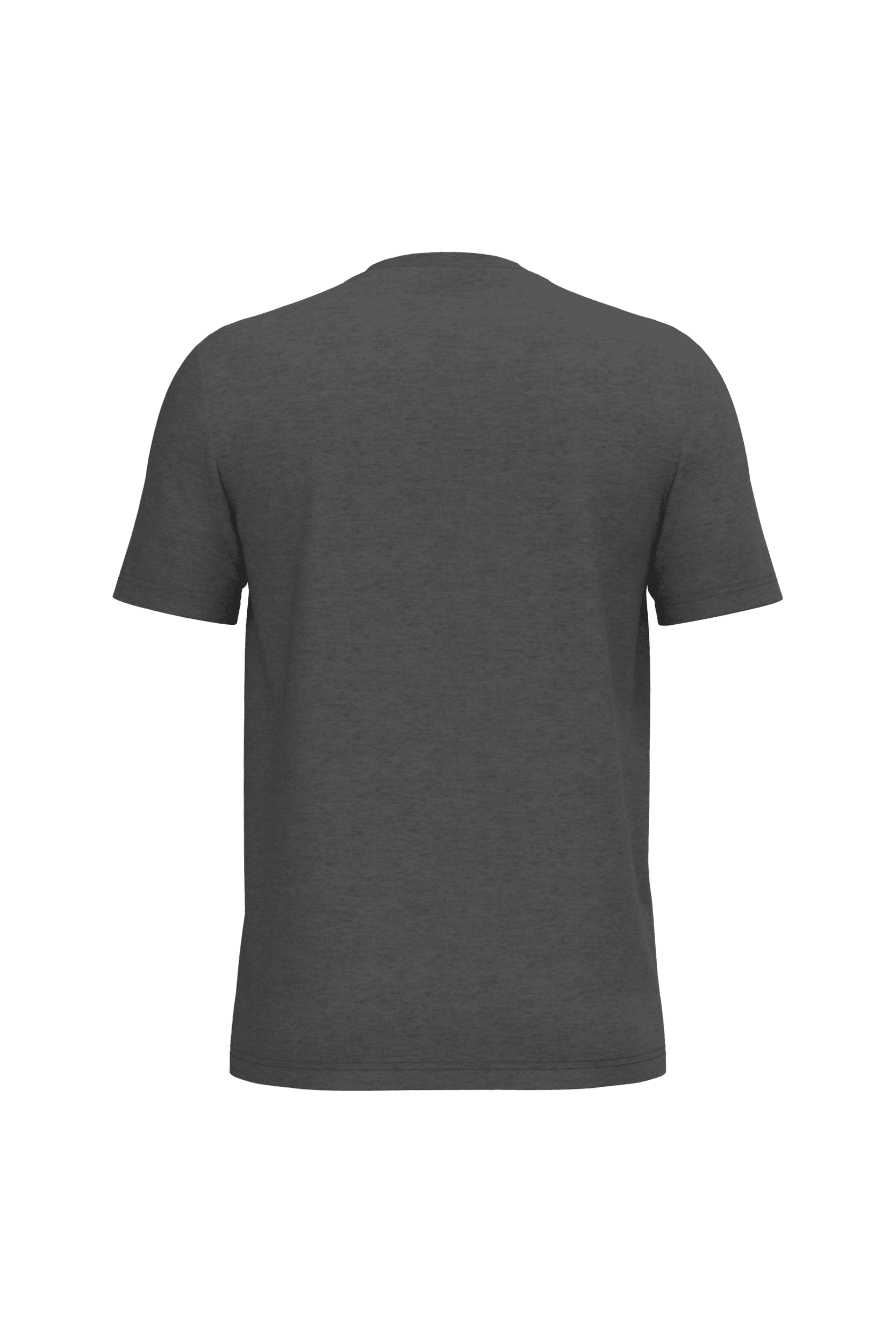 Native Spirit NS300 Bio-T-Shirt Volcano Grey Heather – Rückseite