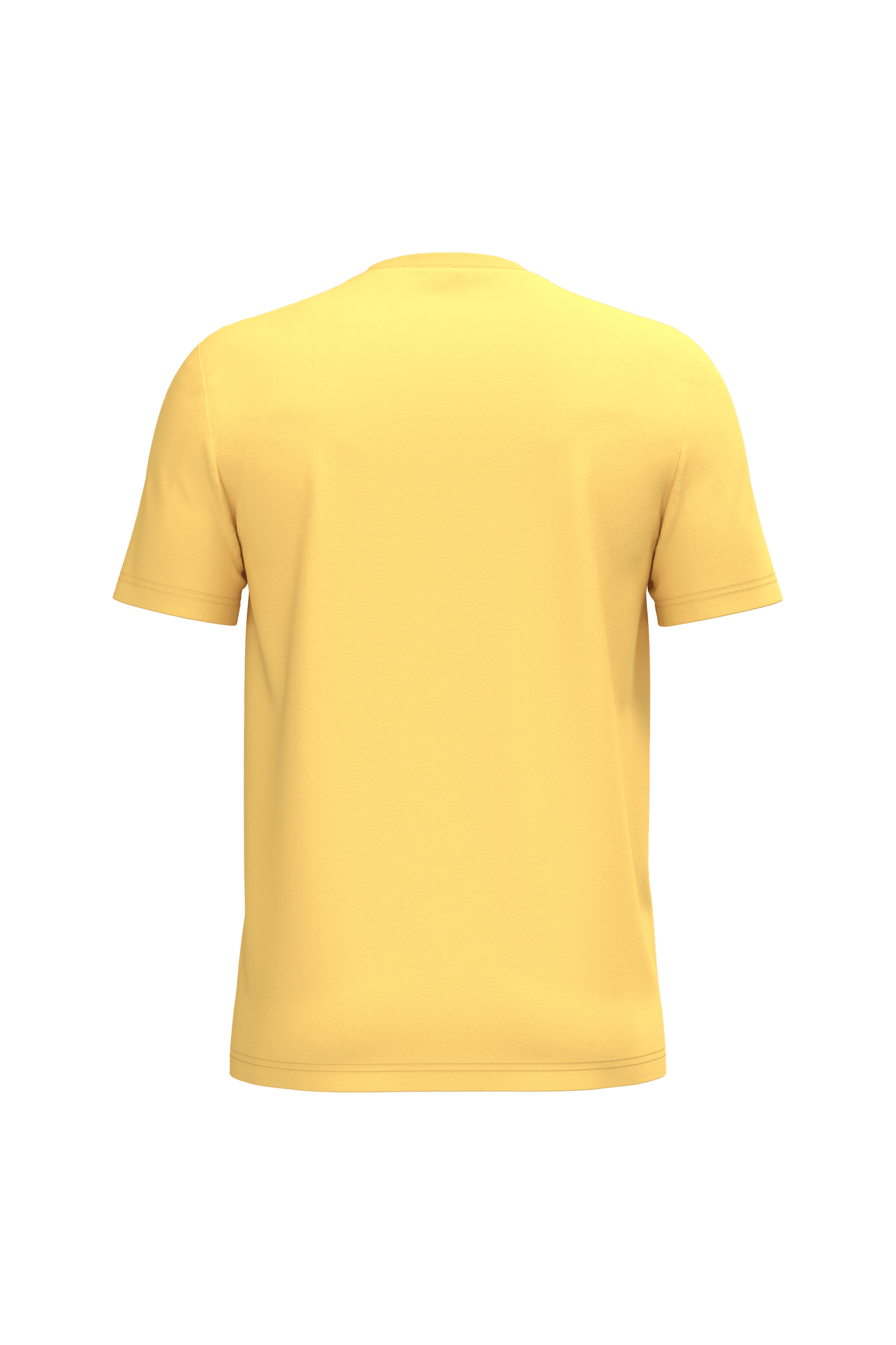 Native Spirit NS305 Bio-T-Shirt Pineapple – Rückseite