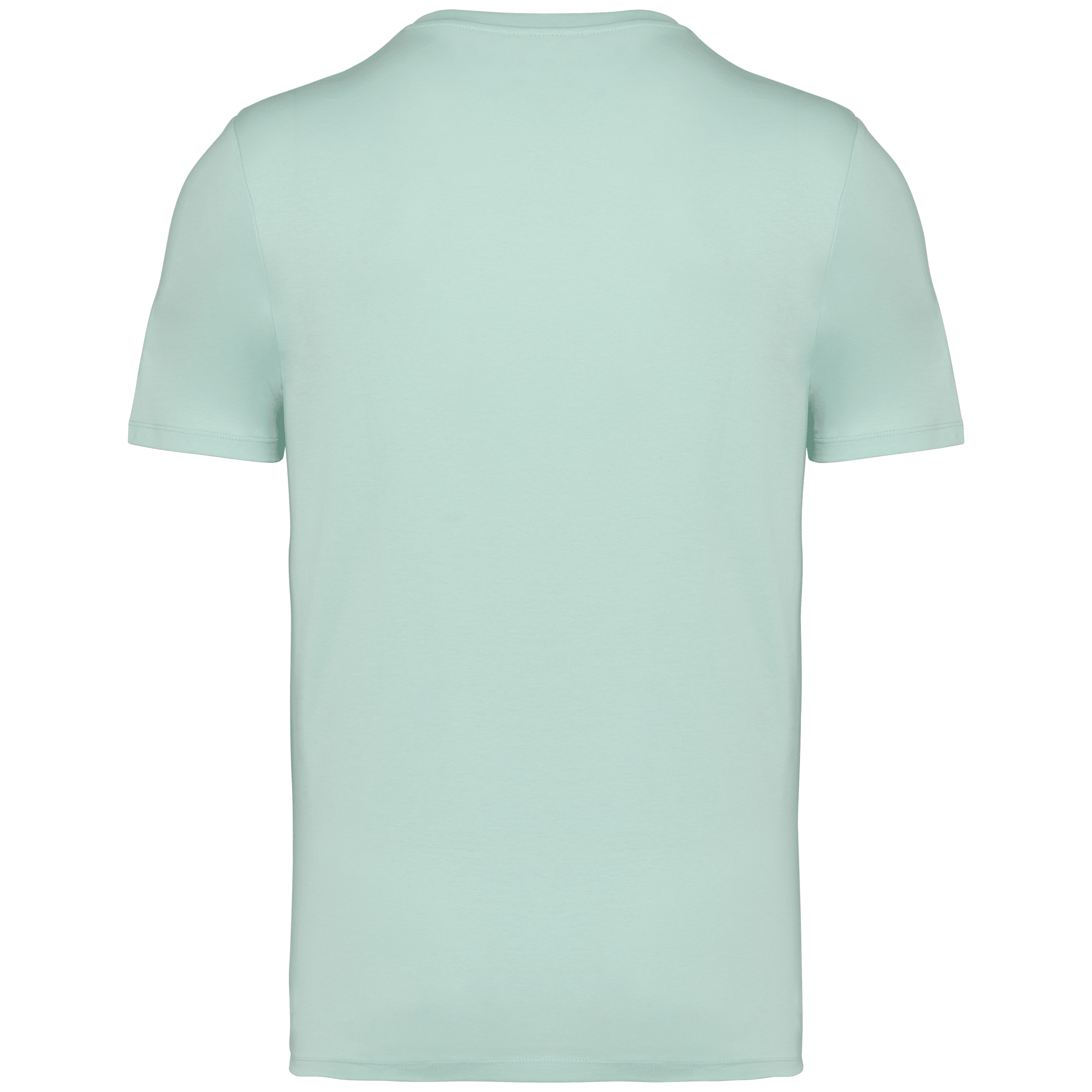 Native Spirit NS305 Bio-T-Shirt Brook Green – Rückseite