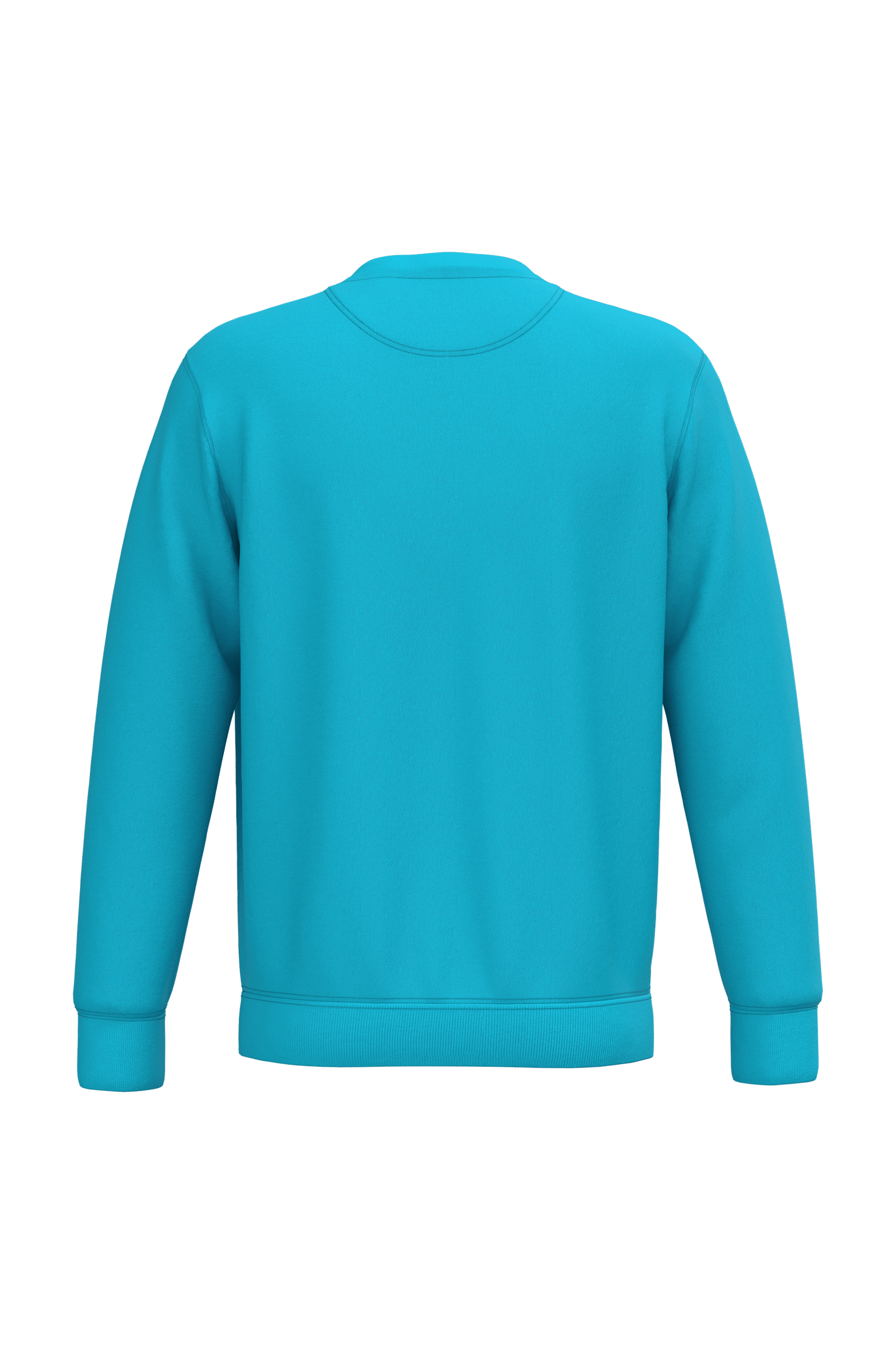 Native Spirit NS400 Bio-Sweatshirt Light Turquoise – Rückseite