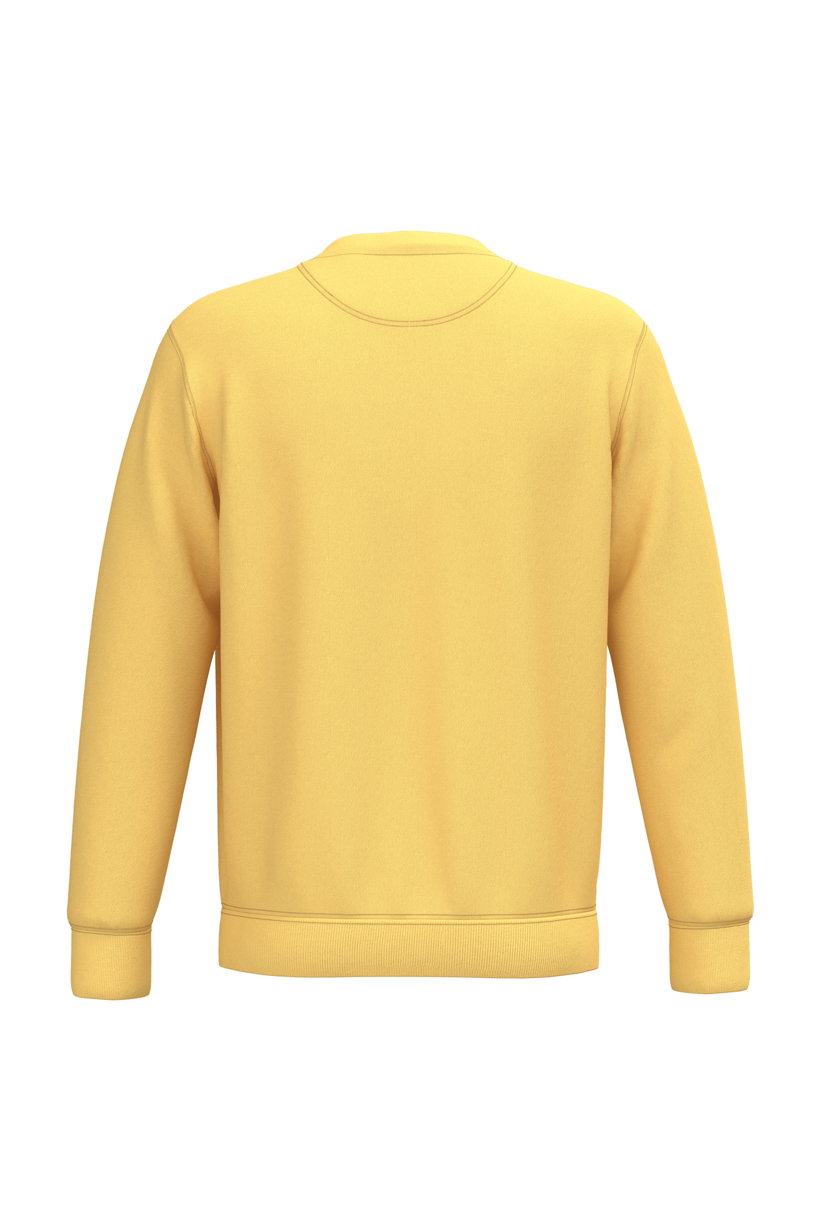 Native Spirit NS400 Bio-Sweatshirt Pineapple – Rückseite