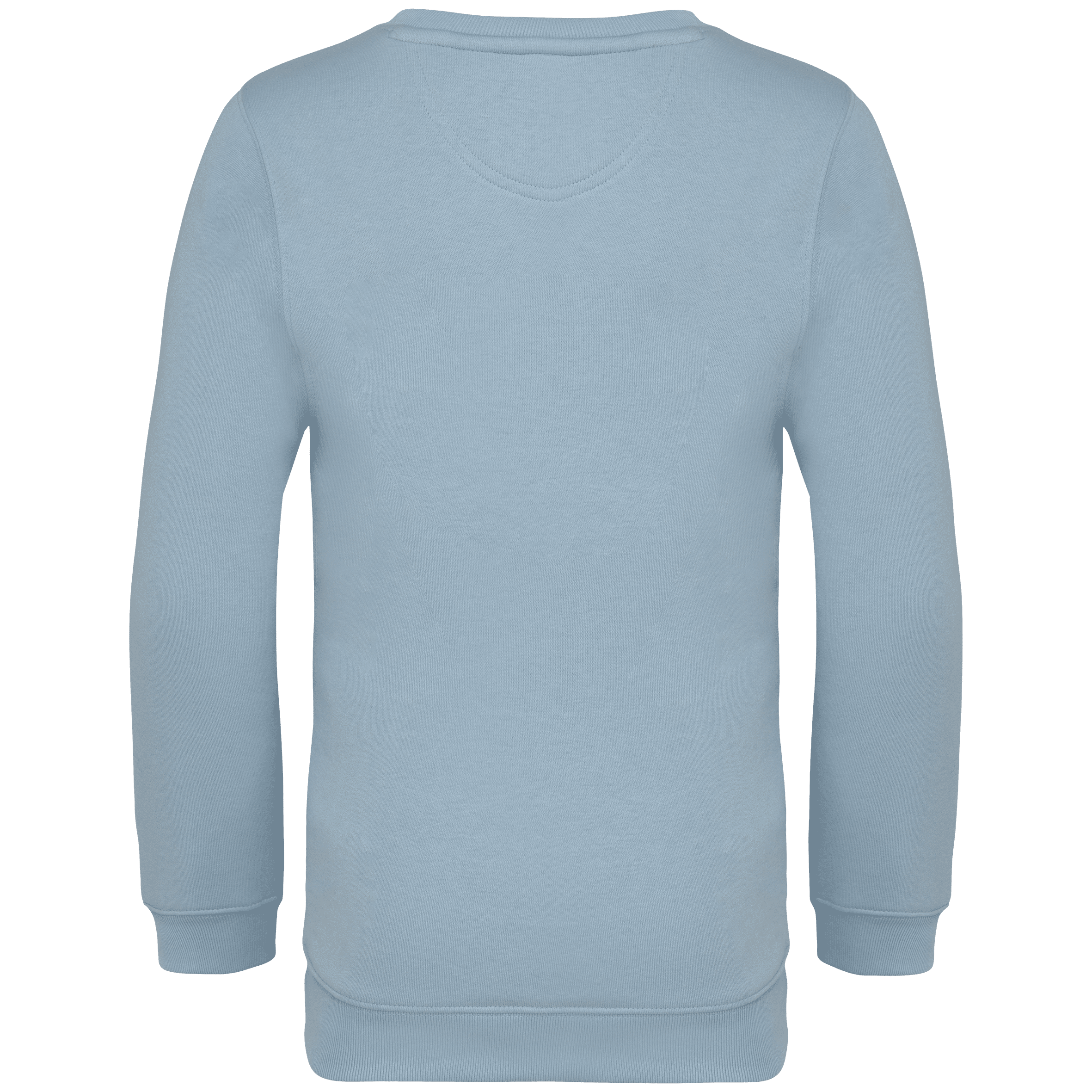 Native Spirit NS403 Bio-Sweatshirt Aquamarine – Rückseite