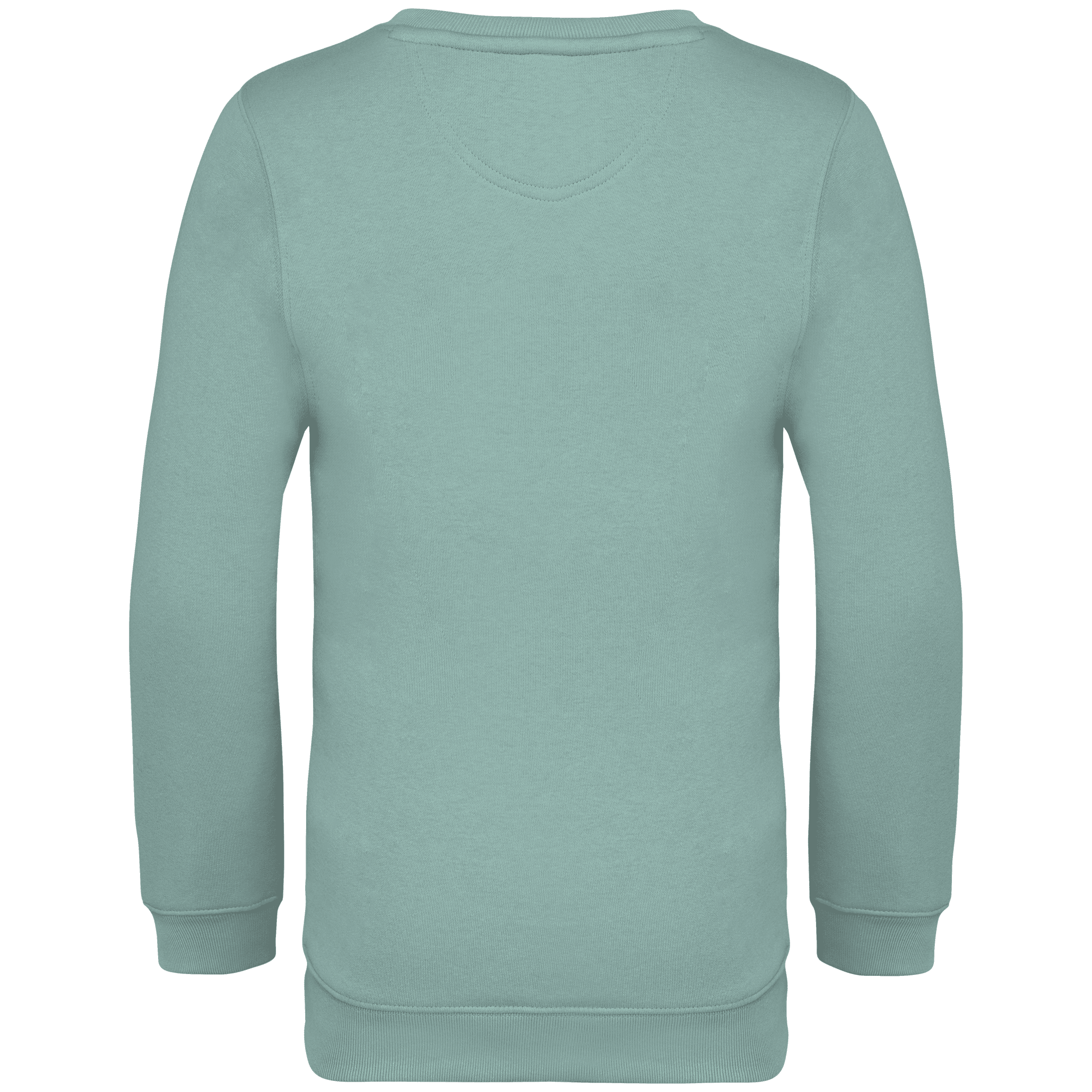 Native Spirit NS403 Bio-Sweatshirt Jade Green – Rückseite