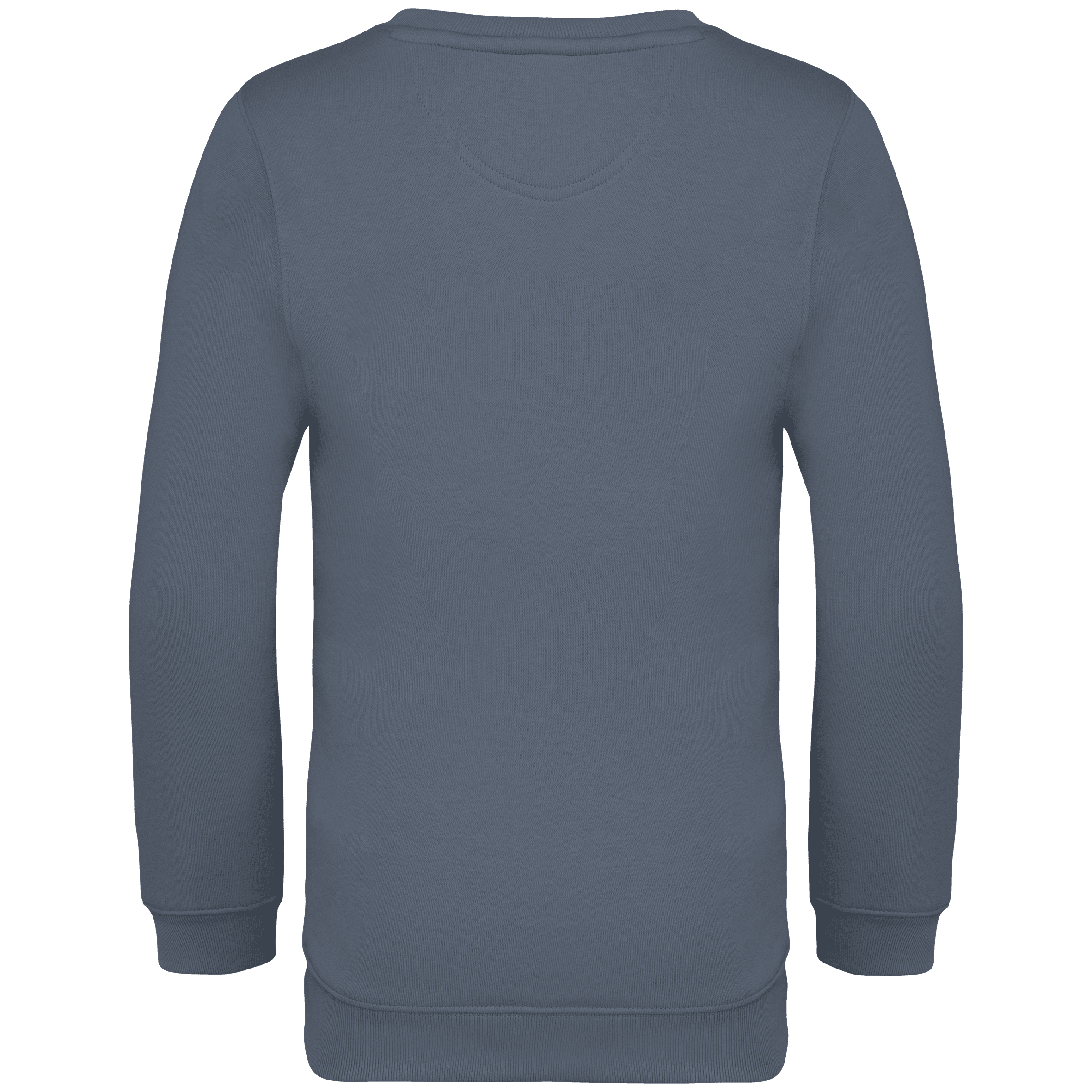 Native Spirit NS403 Bio-Sweatshirt Mineral Grey – Rückseite