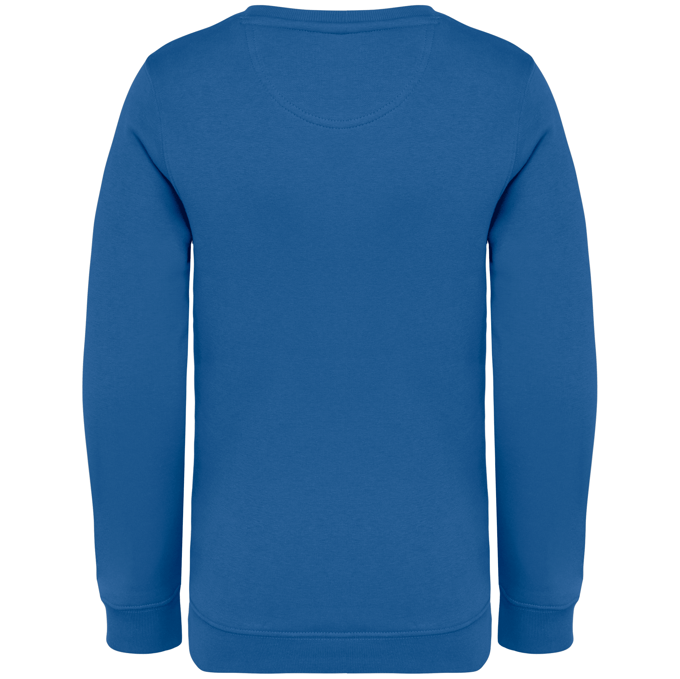 Native Spirit NS403 Bio-Sweatshirt Sea Blue – Rückseite