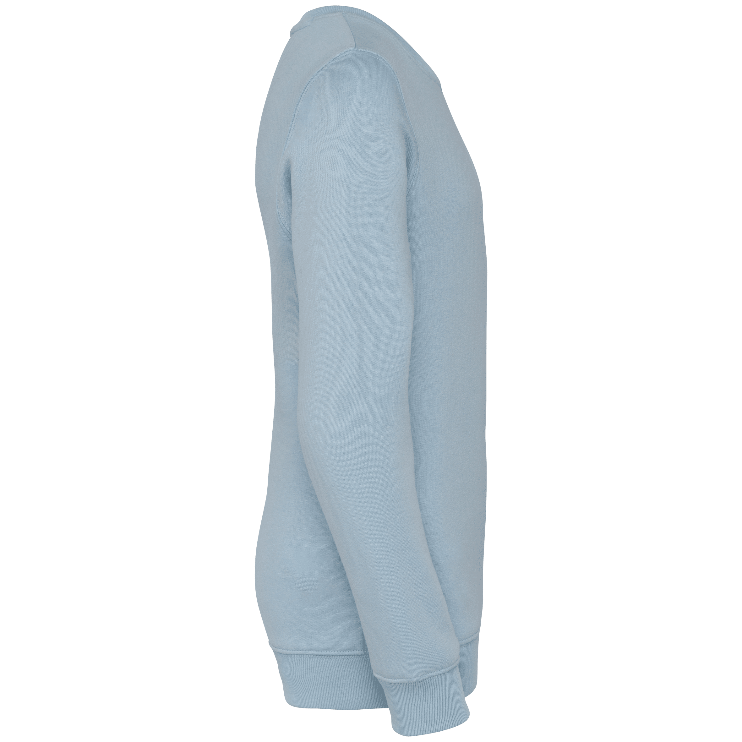Native Spirit NS403 Bio-Sweatshirt Aquamarine – Seitenansicht