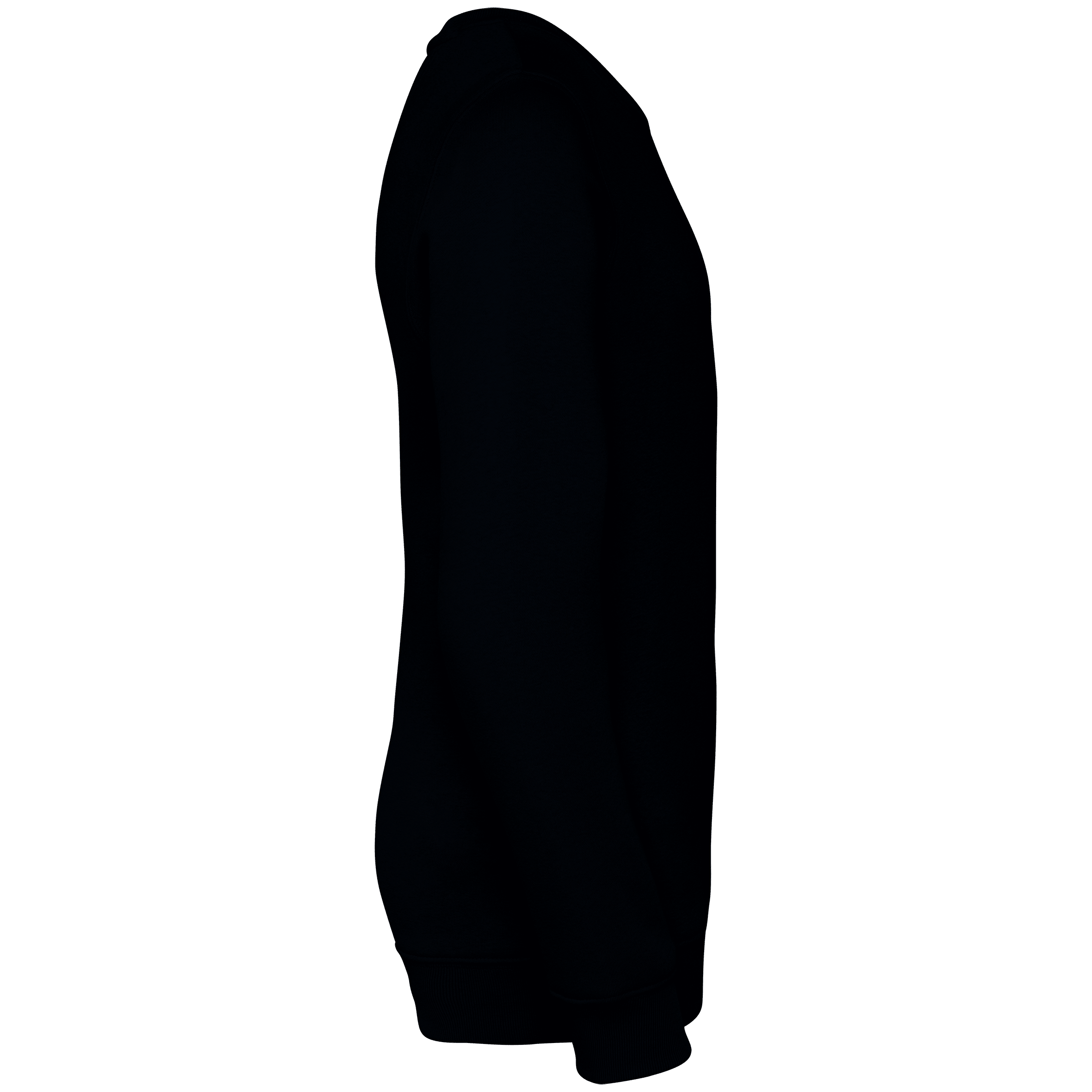 Native Spirit NS403 Bio-Sweatshirt Black – Seitenansicht