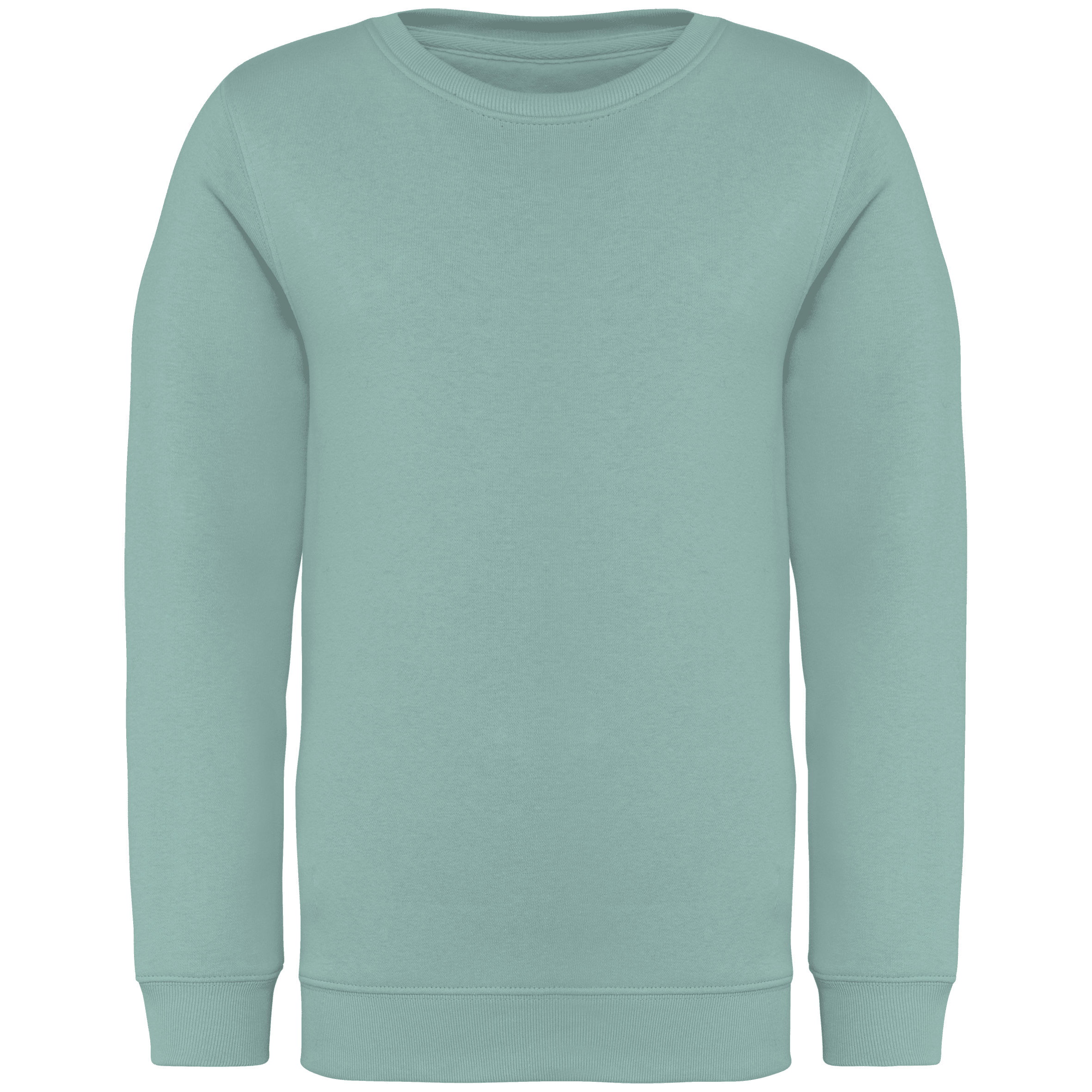 Native Spirit NS403 Bio-Sweatshirt Jade Green – Vorderseite