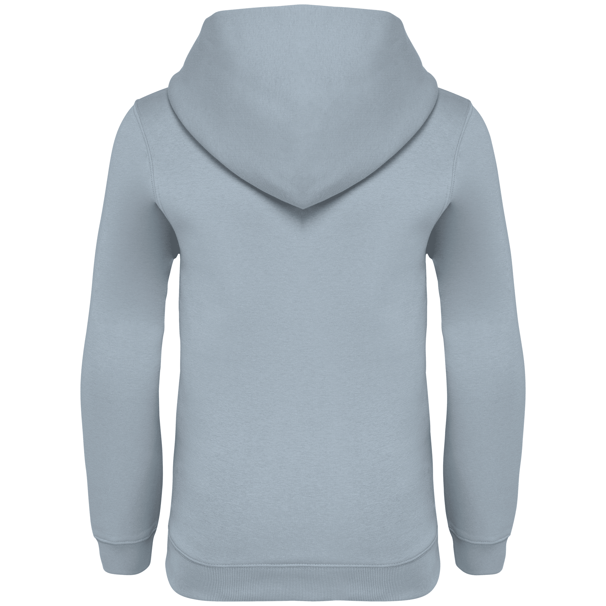 Native Spirit NS404 Bio-Hoodie Aquamarine – Rückseite