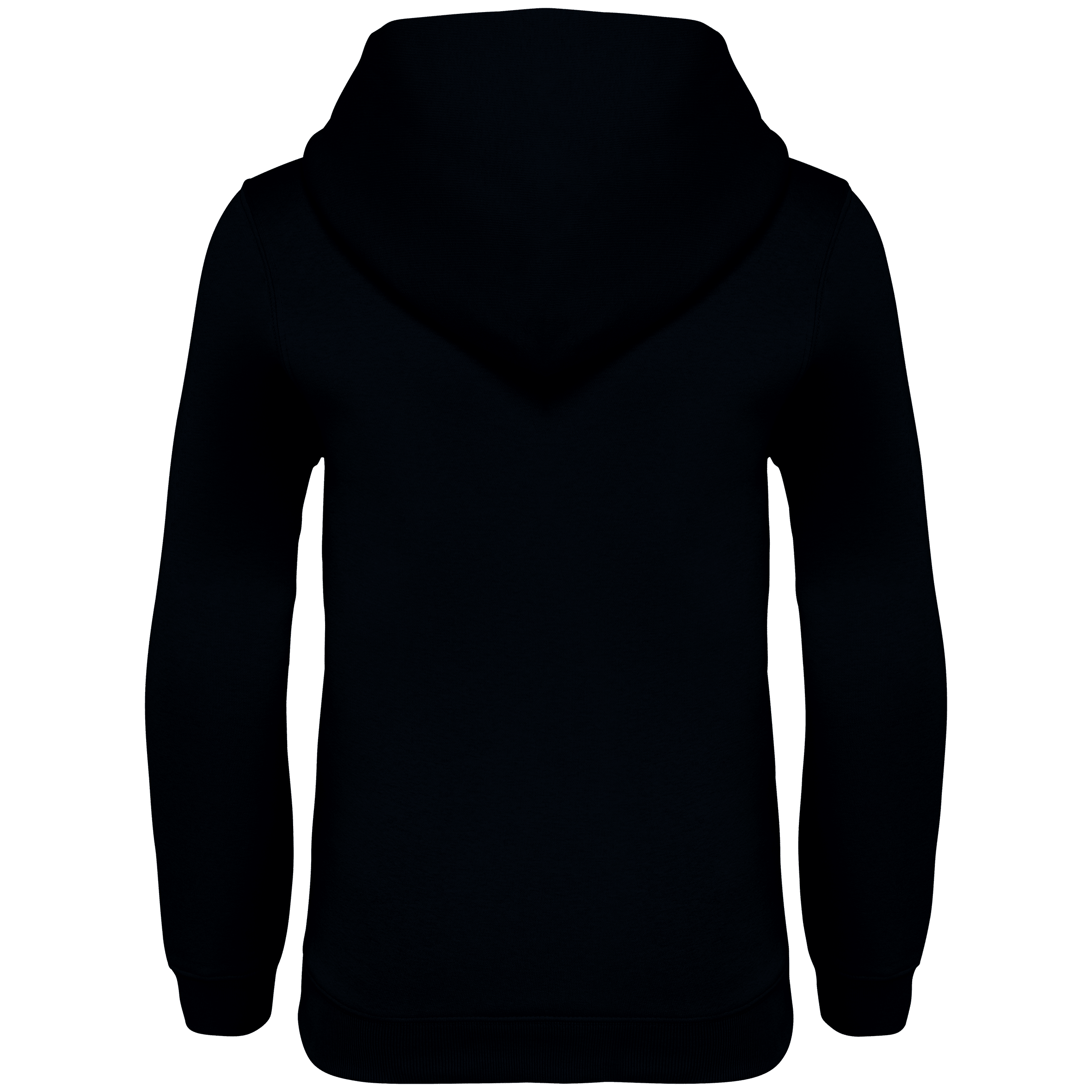 Native Spirit NS404 Bio-Hoodie Black – Rückseite
