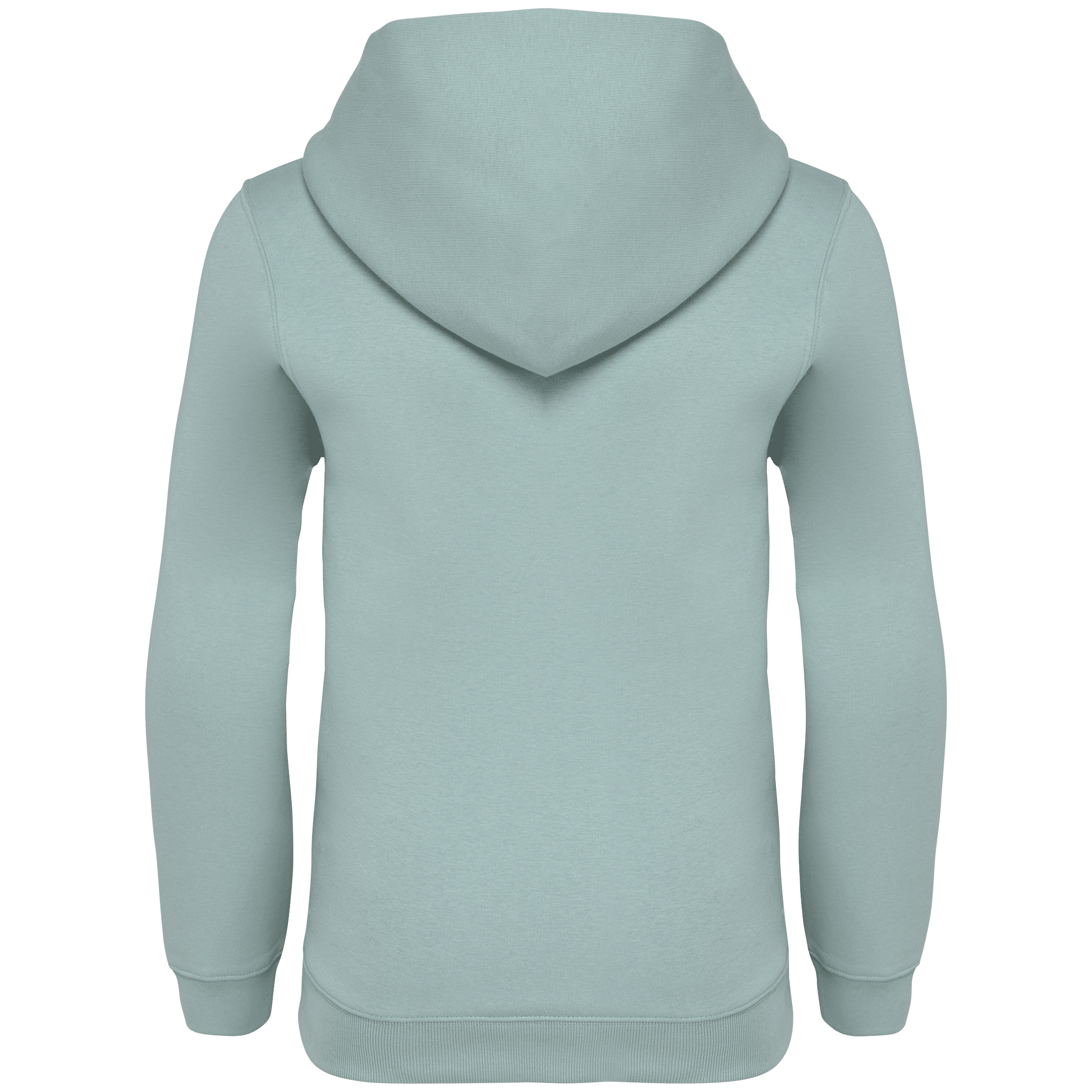 Native Spirit NS404 Bio-Hoodie Jade Green – Rückseite