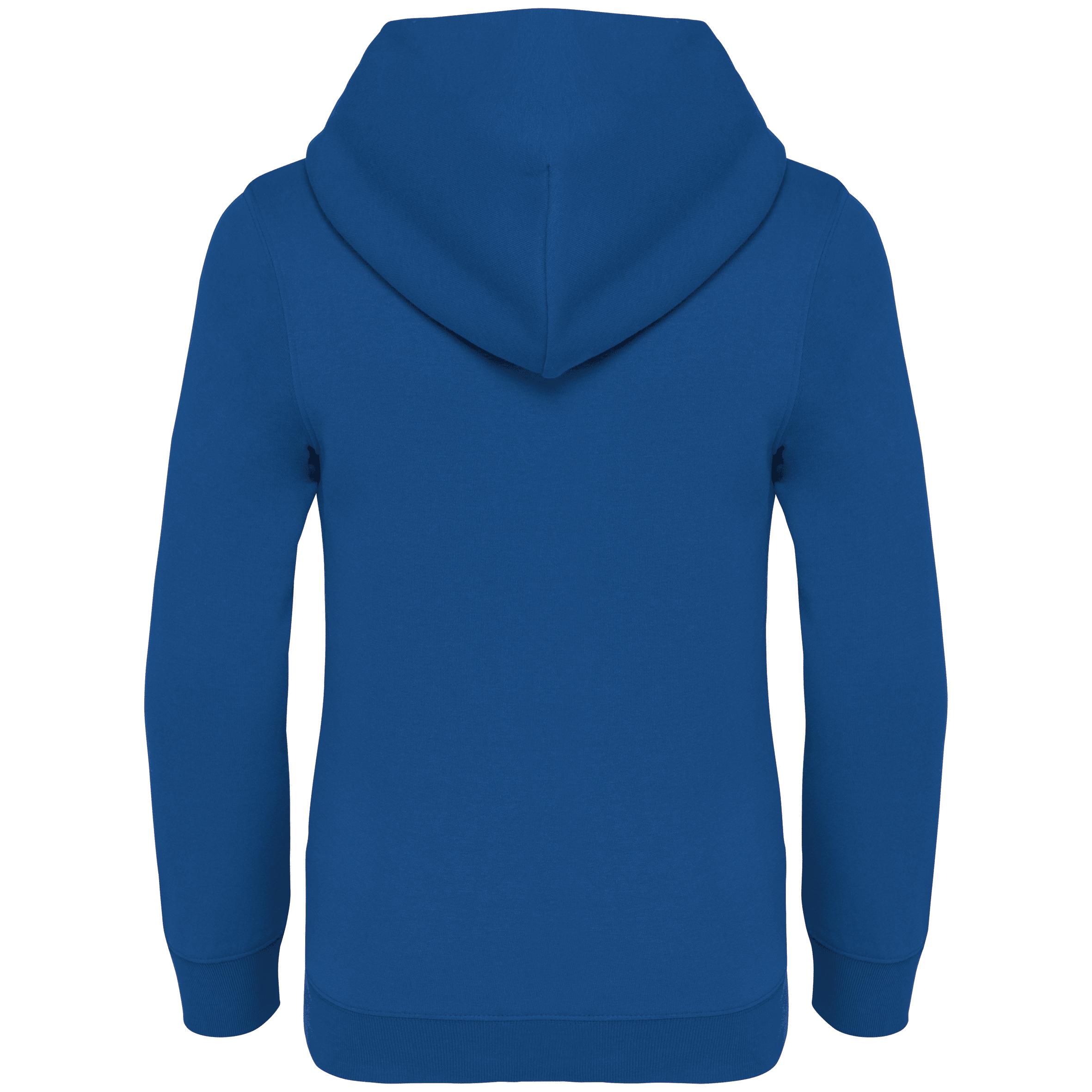 Native Spirit NS404 Bio-Hoodie Sea Blue – Rückseite