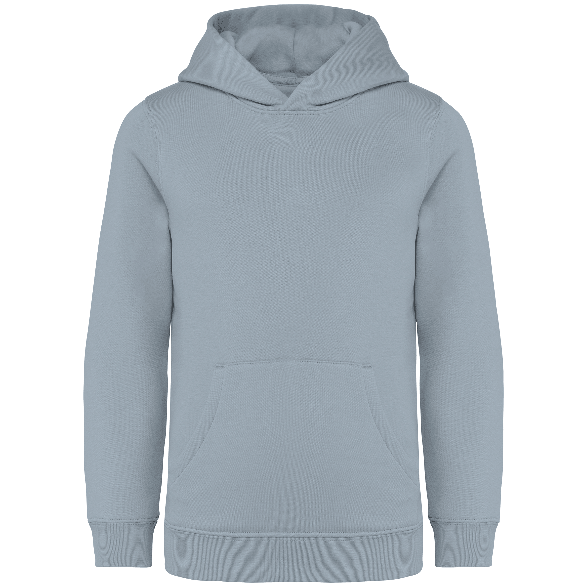 Native Spirit NS404 Bio-Hoodie Aquamarine – Vorderseite