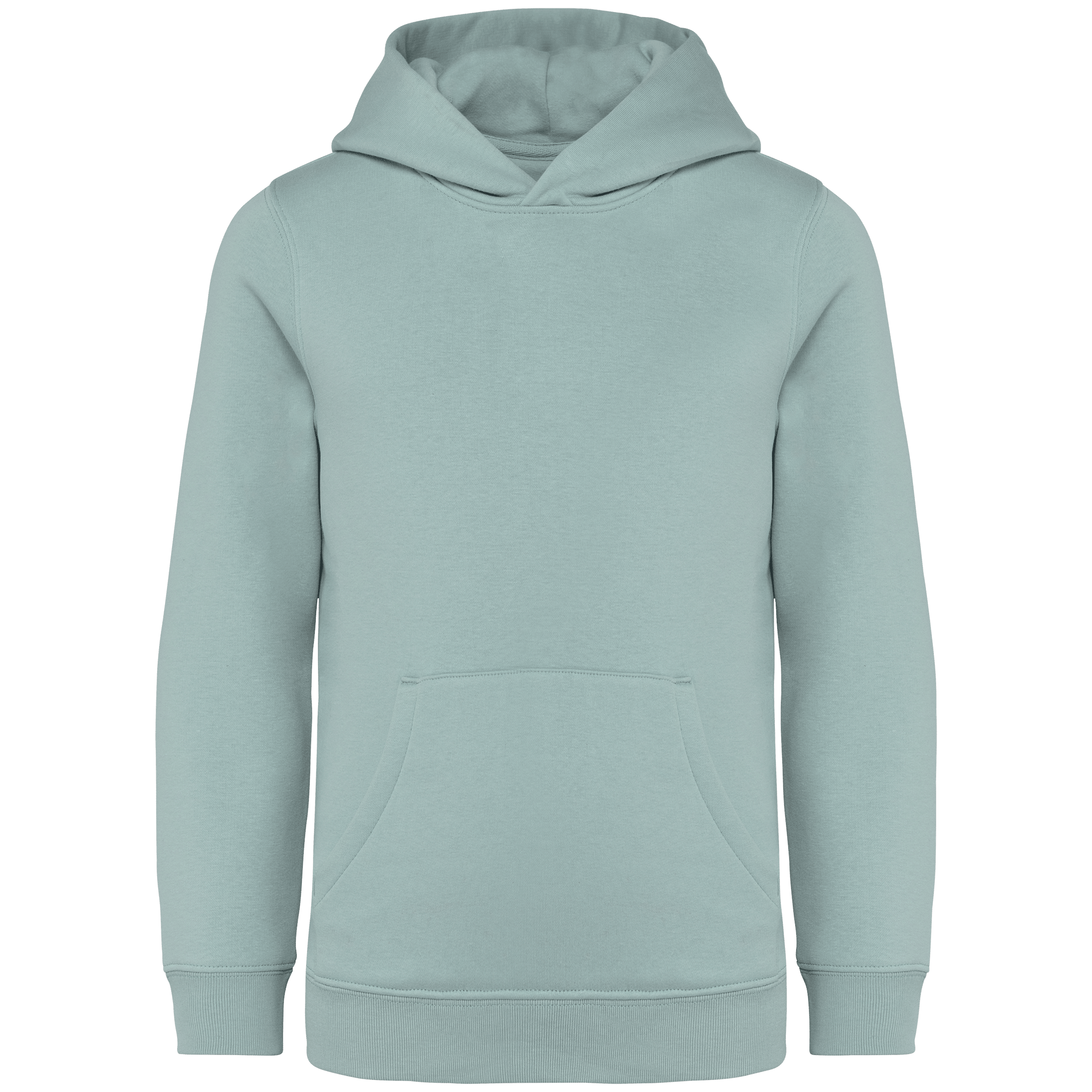 Native Spirit NS404 Bio-Hoodie Jade Green – Vorderseite
