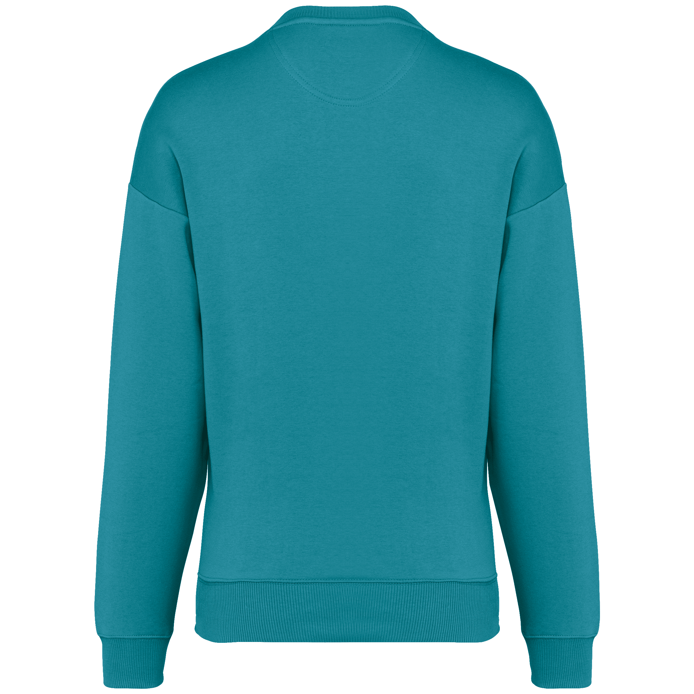 Native Spirit NS407 Bio-Sweatshirt Adriatic Blue – Rückseite