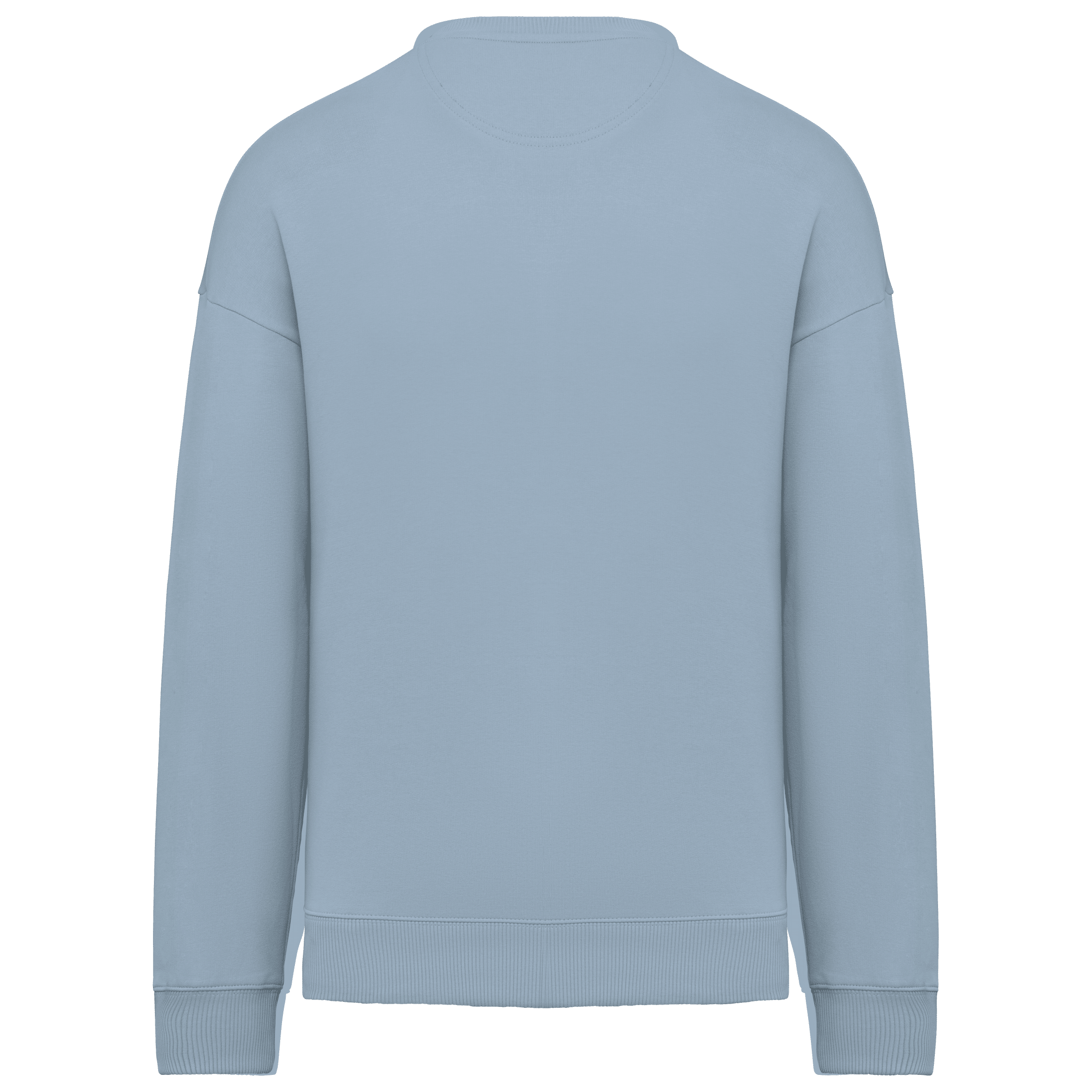 Native Spirit NS407 Bio-Sweatshirt Aquamarine – Rückseite