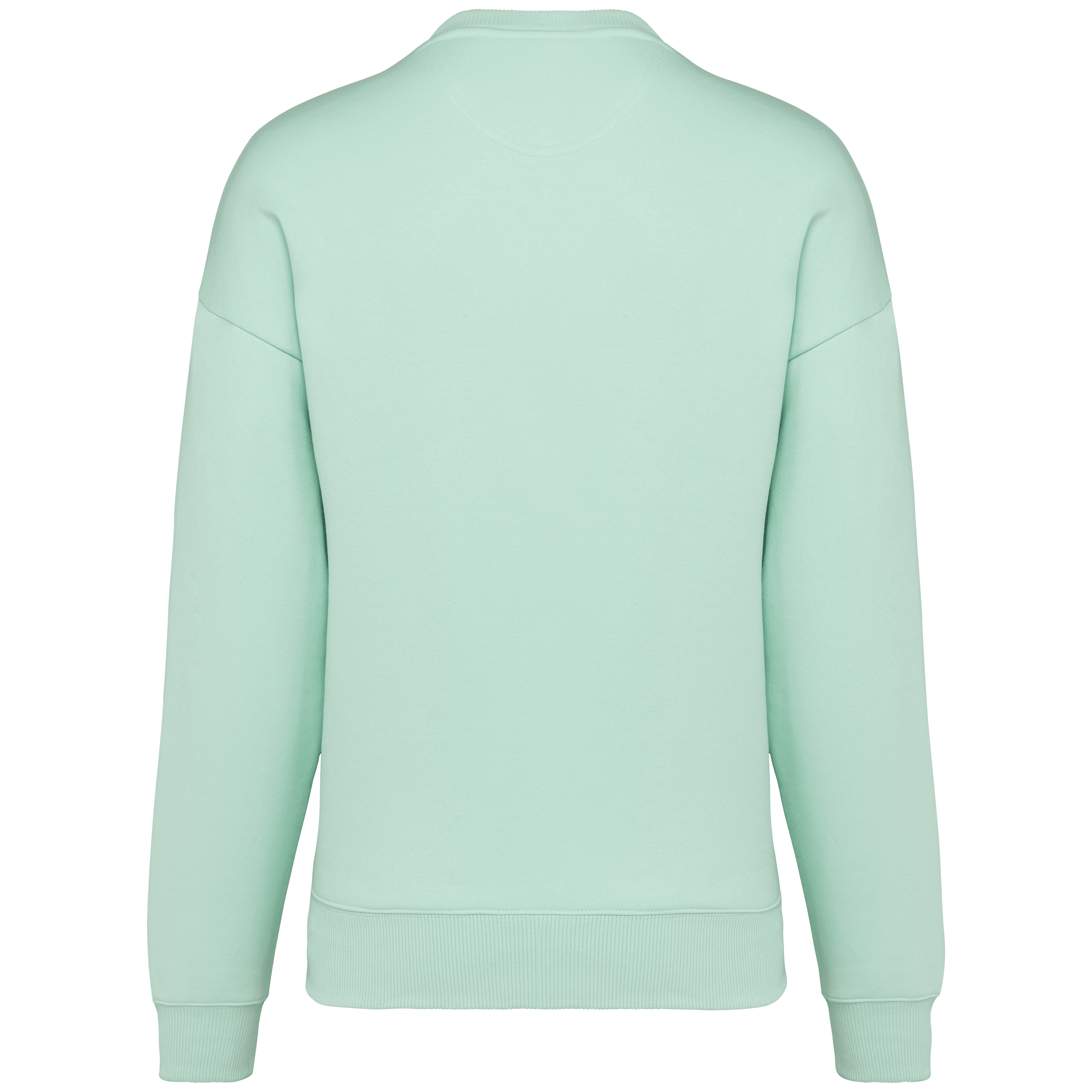 Native Spirit NS407 Bio-Sweatshirt Brook Green – Rückseite