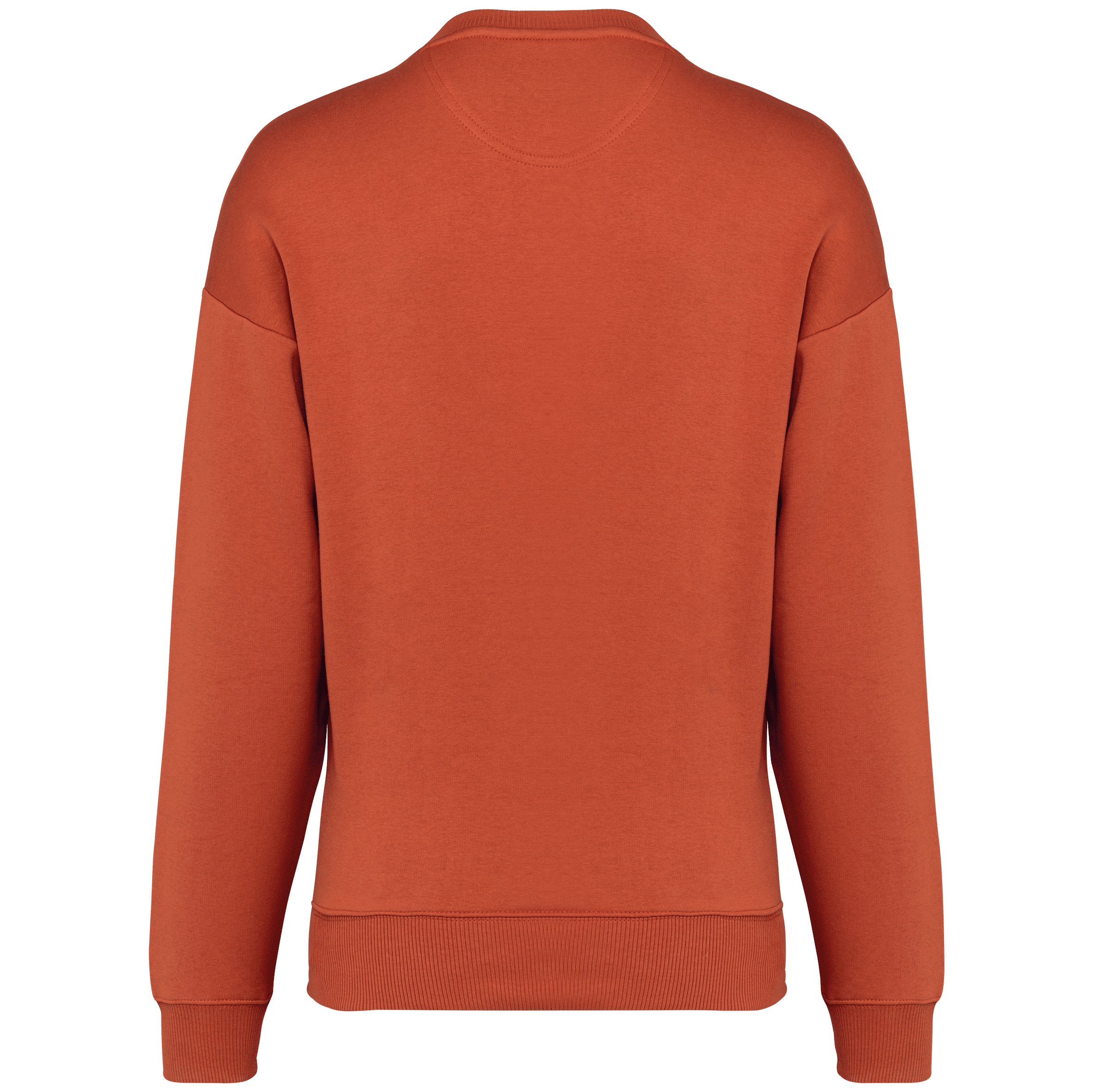 Native Spirit NS407 Bio-Sweatshirt Burnt Brick – Rückseite