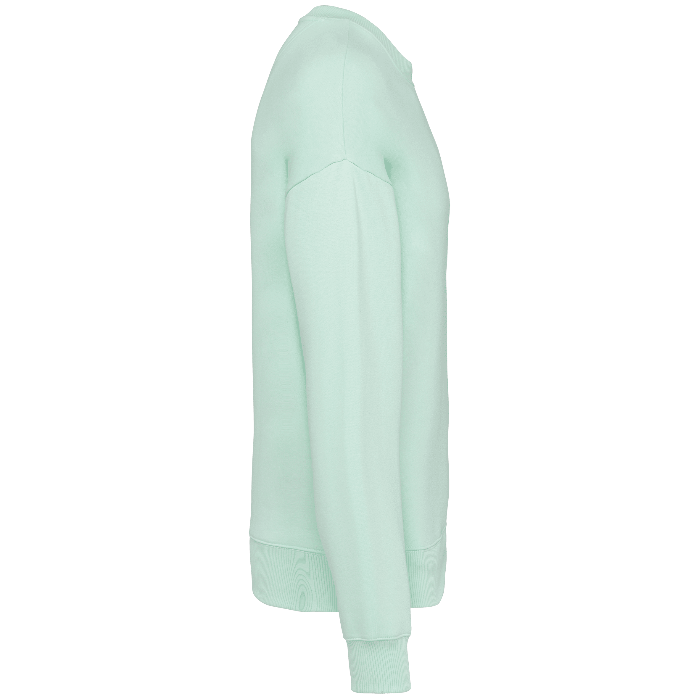 Native Spirit NS407 Bio-Sweatshirt Brook Green – Seitenansicht