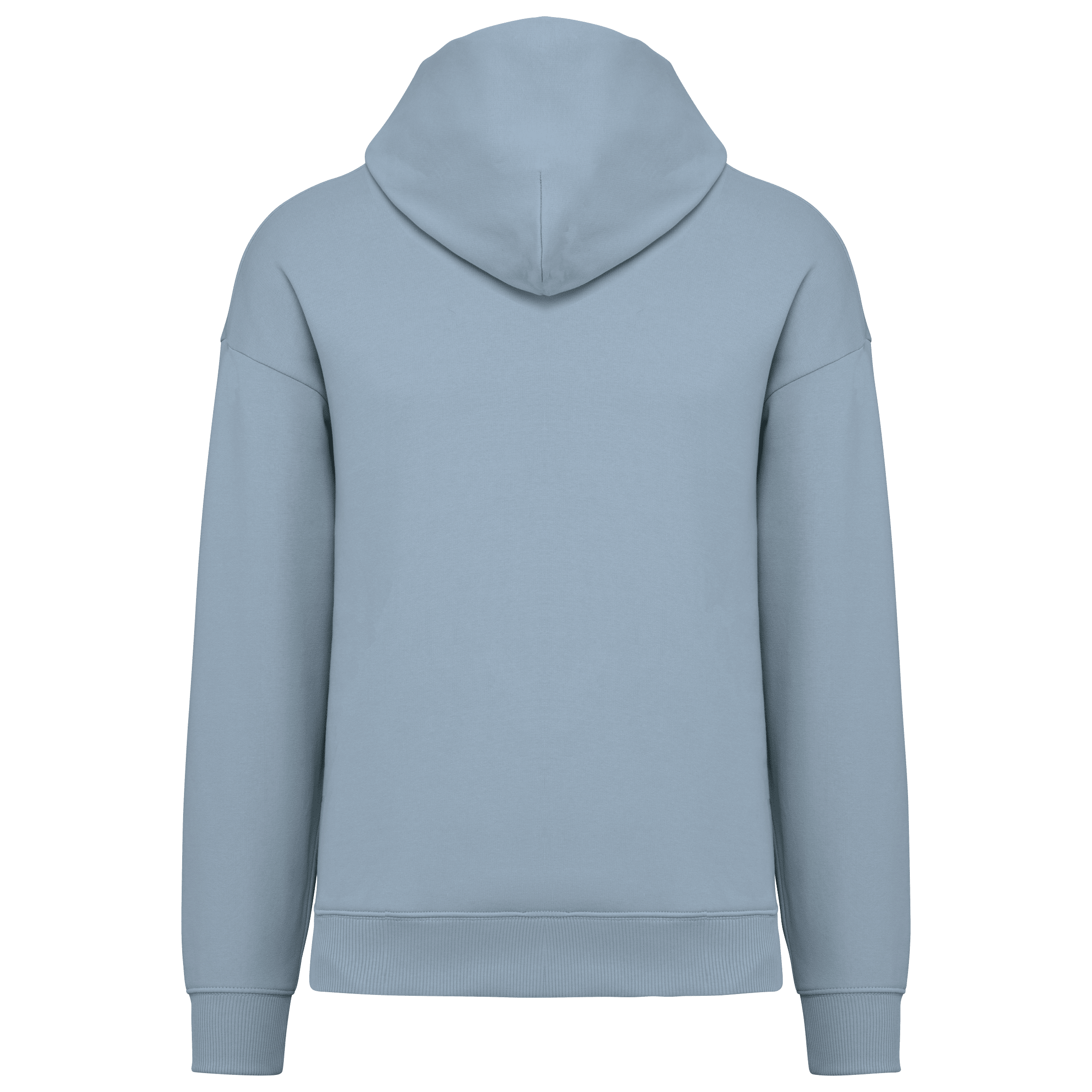 Native Spirit NS408 Bio-Hoodie Aquamarine – Rückseite