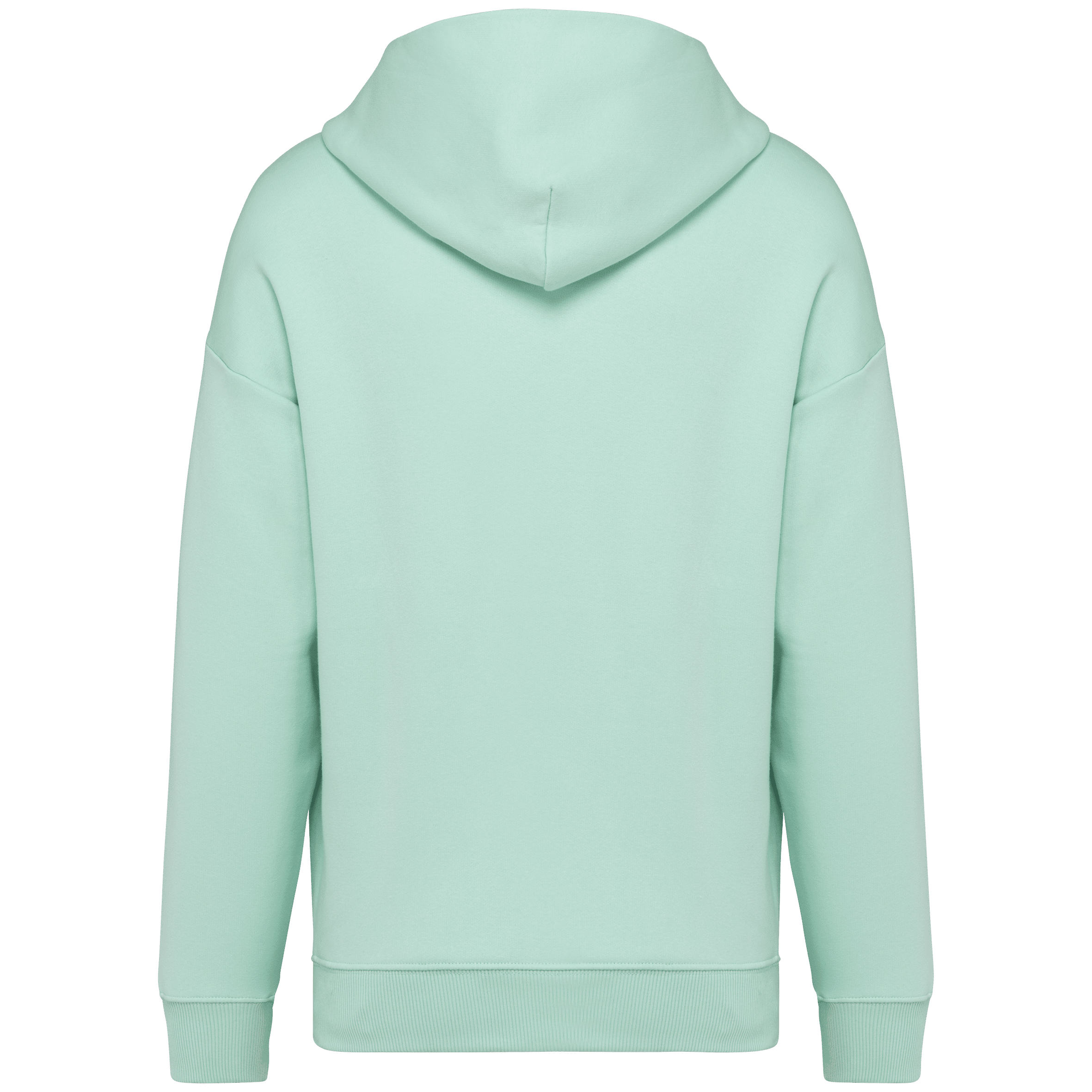 Native Spirit NS408 Bio-Hoodie Brook Green – Rückseite