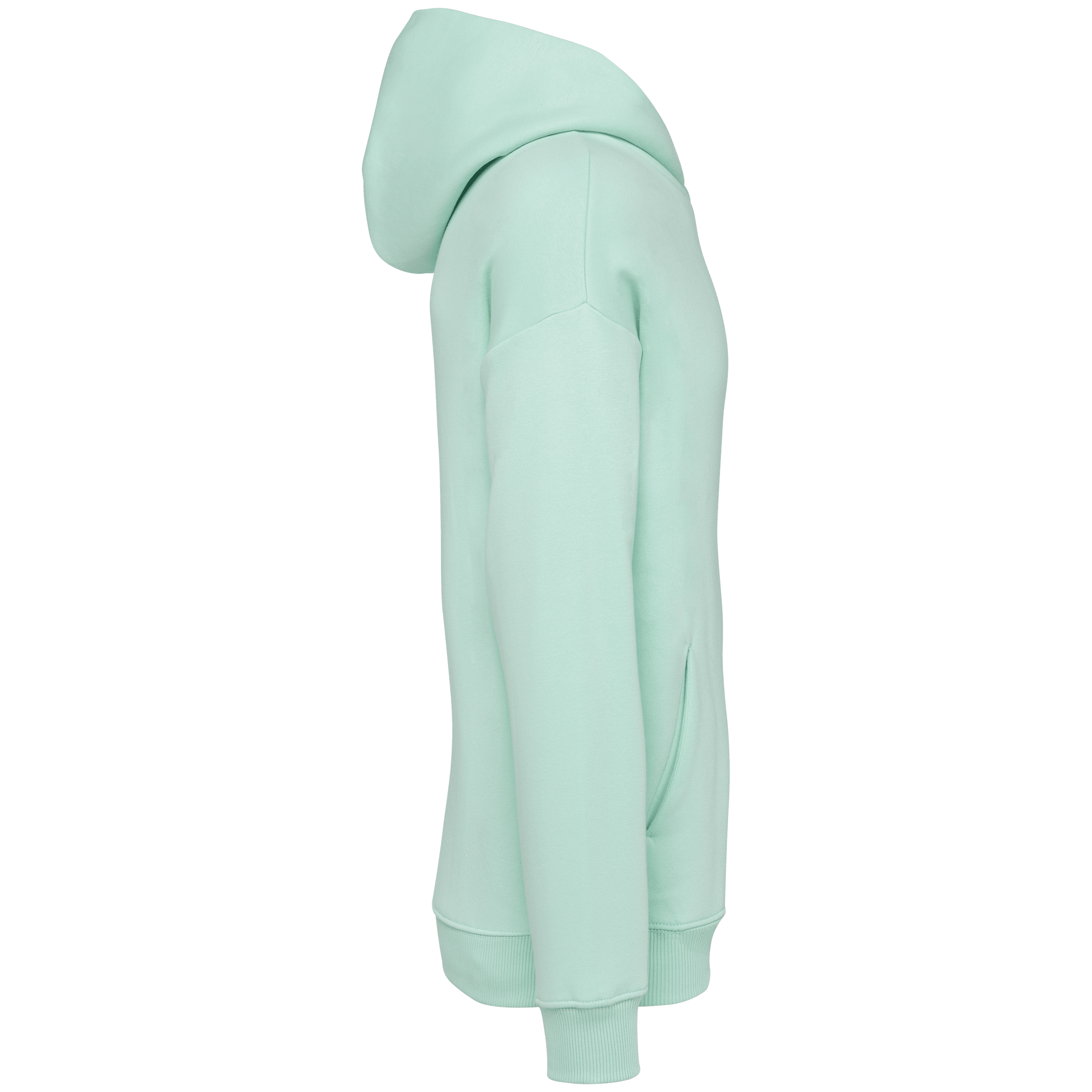 Native Spirit NS408 Bio-Hoodie Brook Green – Seitenansicht